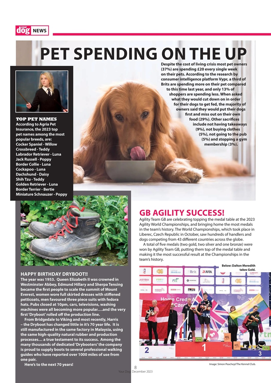 Your Dog Preview Pages