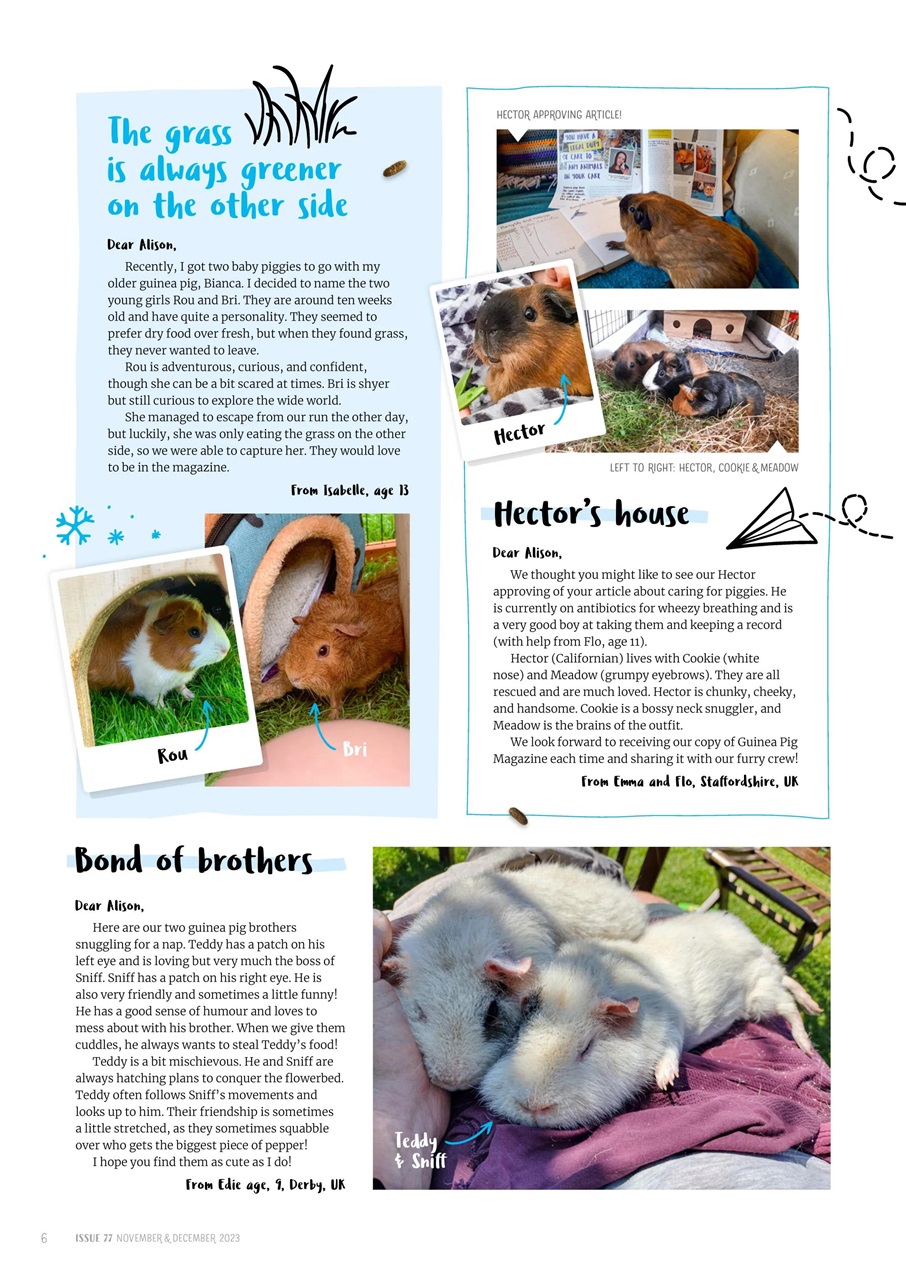 Guinea Pig Magazine Preview Pages