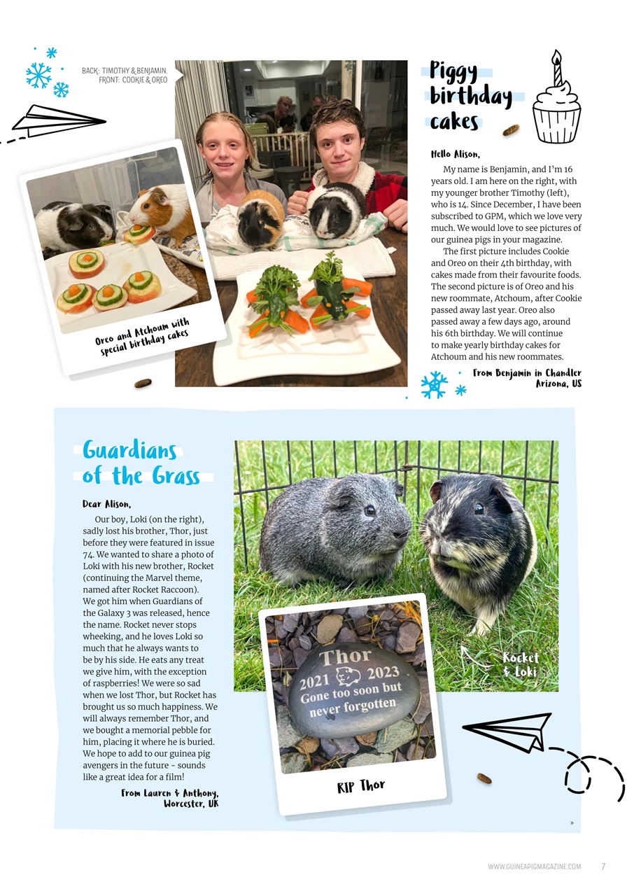 Guinea Pig Magazine Preview Pages
