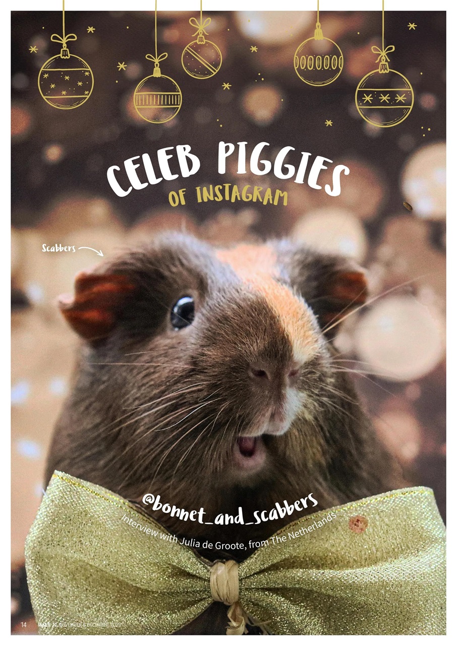 Guinea Pig Magazine Preview Pages