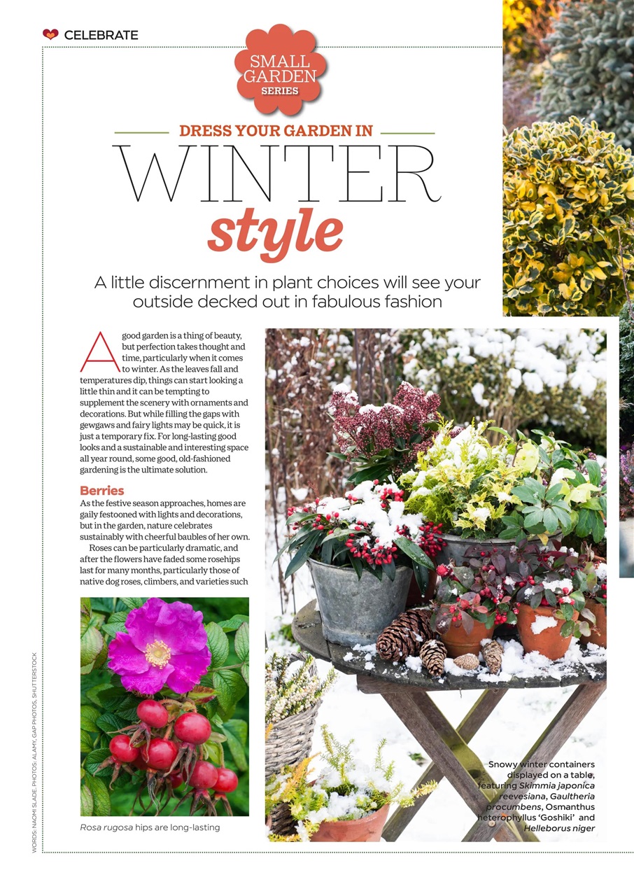 Garden Answers Preview Pages