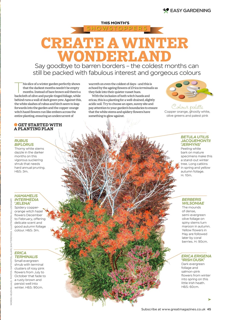 Garden Answers Preview Pages