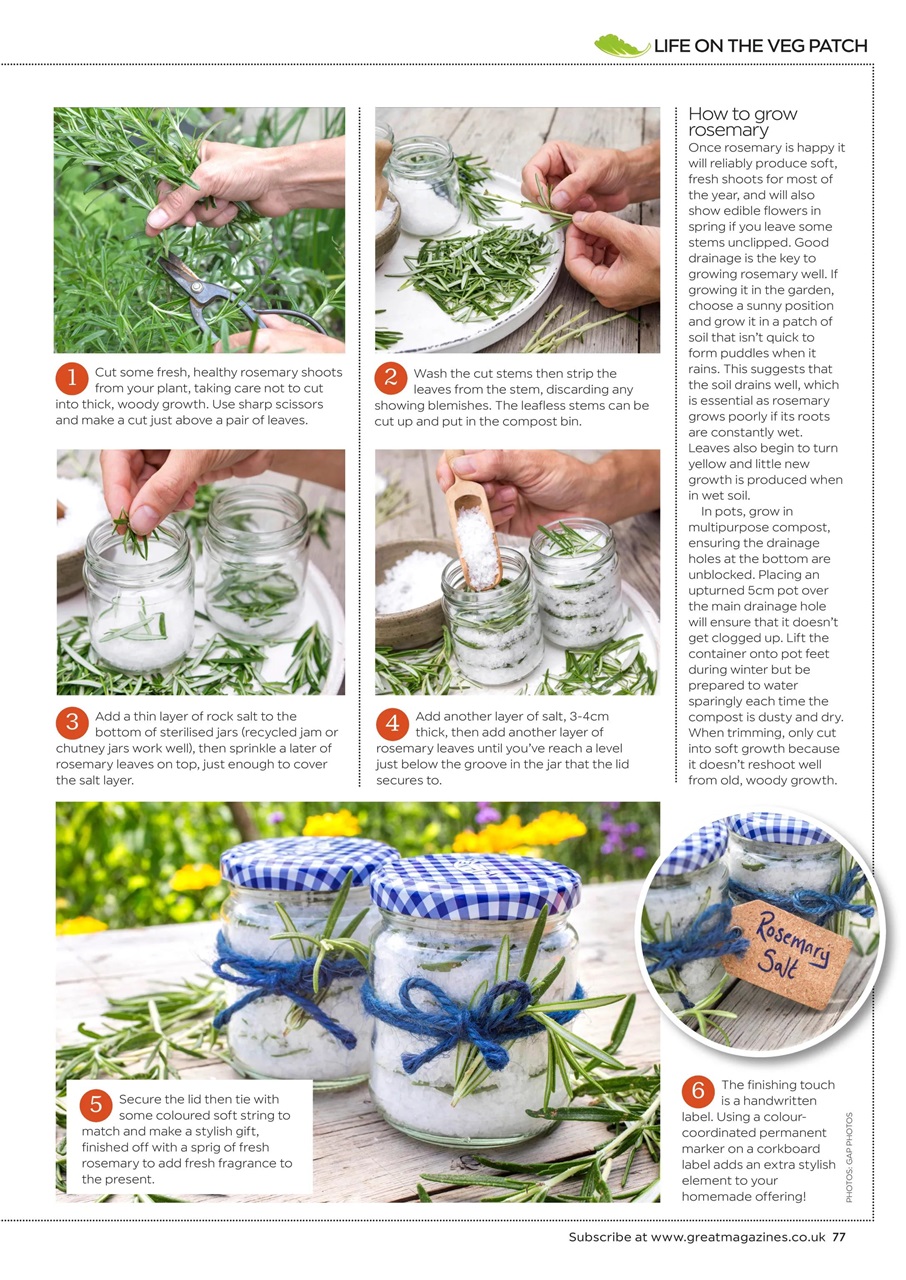 Garden Answers Preview Pages