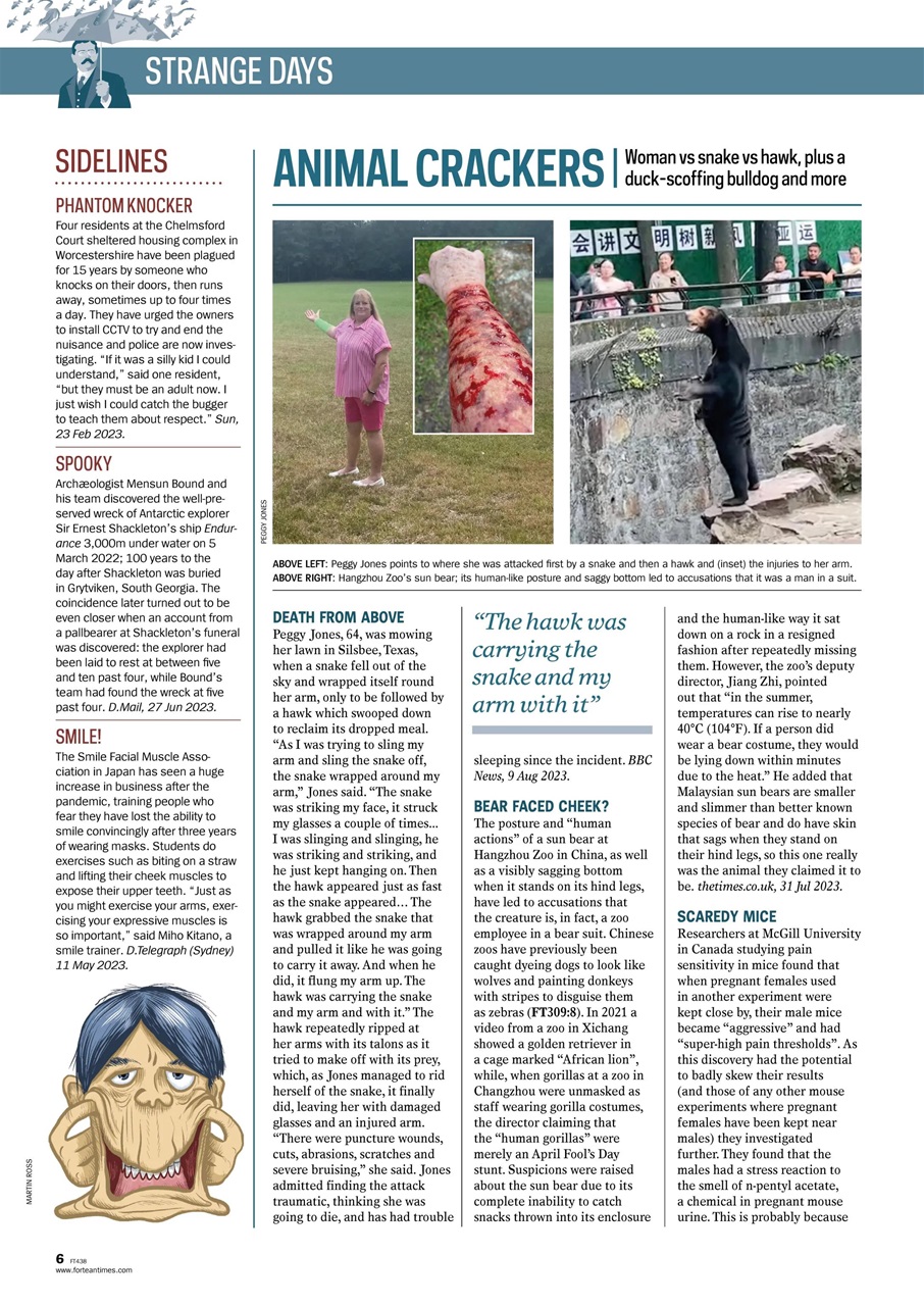 Fortean Times Preview Pages