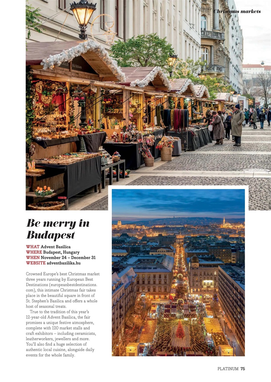 Platinum Preview Pages