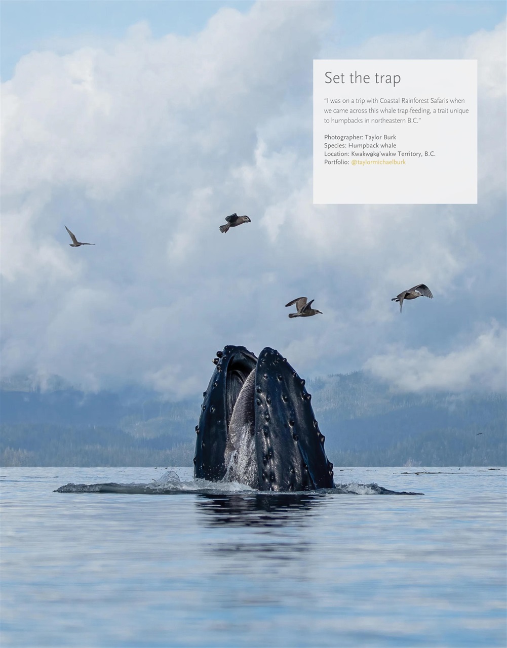 Canadian Geographic Preview Pages