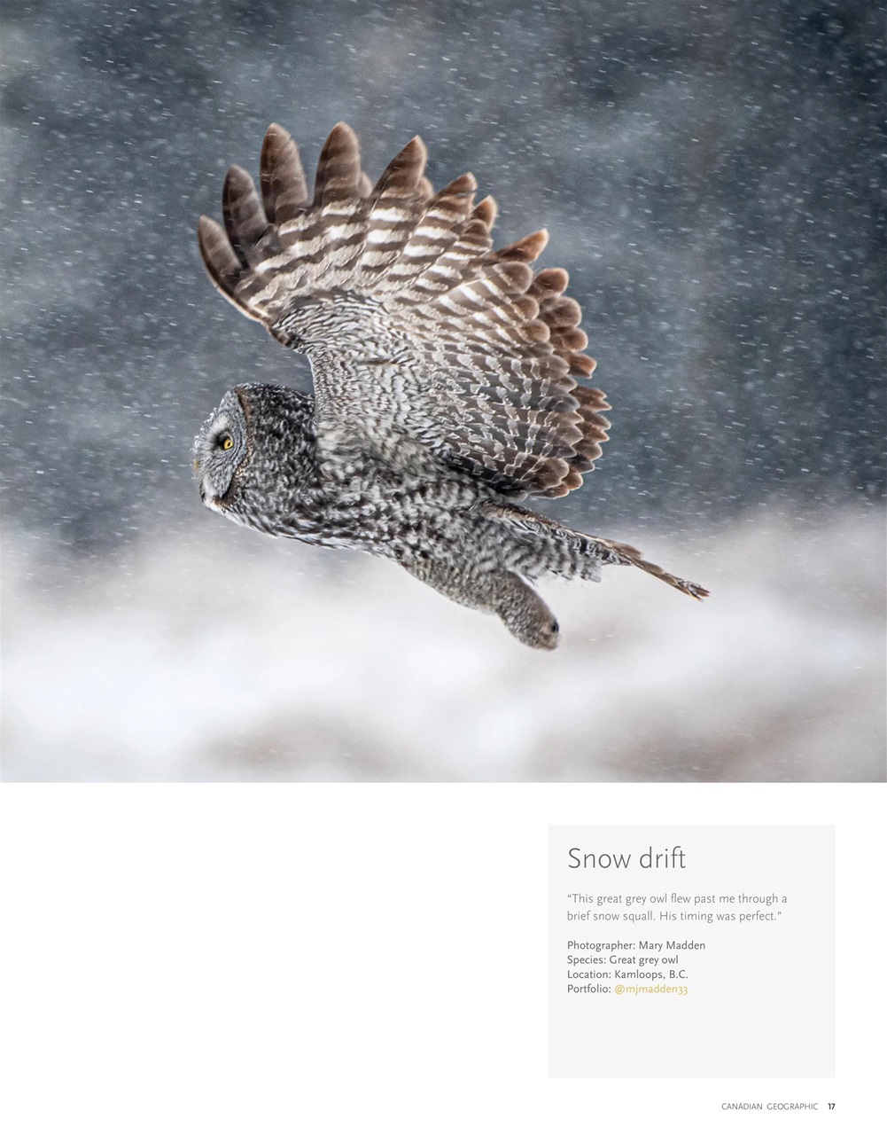 Canadian Geographic Preview Pages