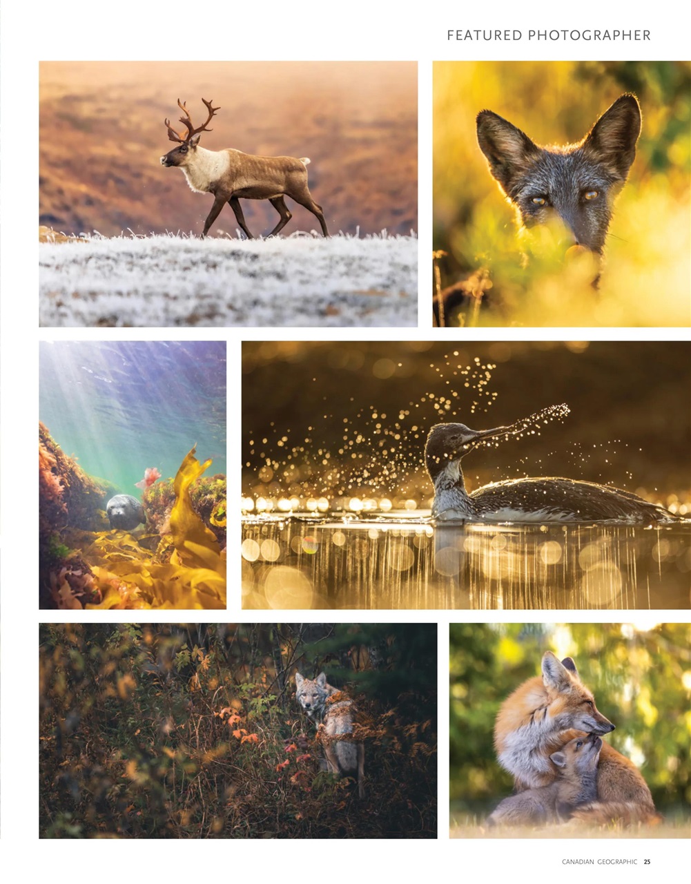 Canadian Geographic Preview Pages