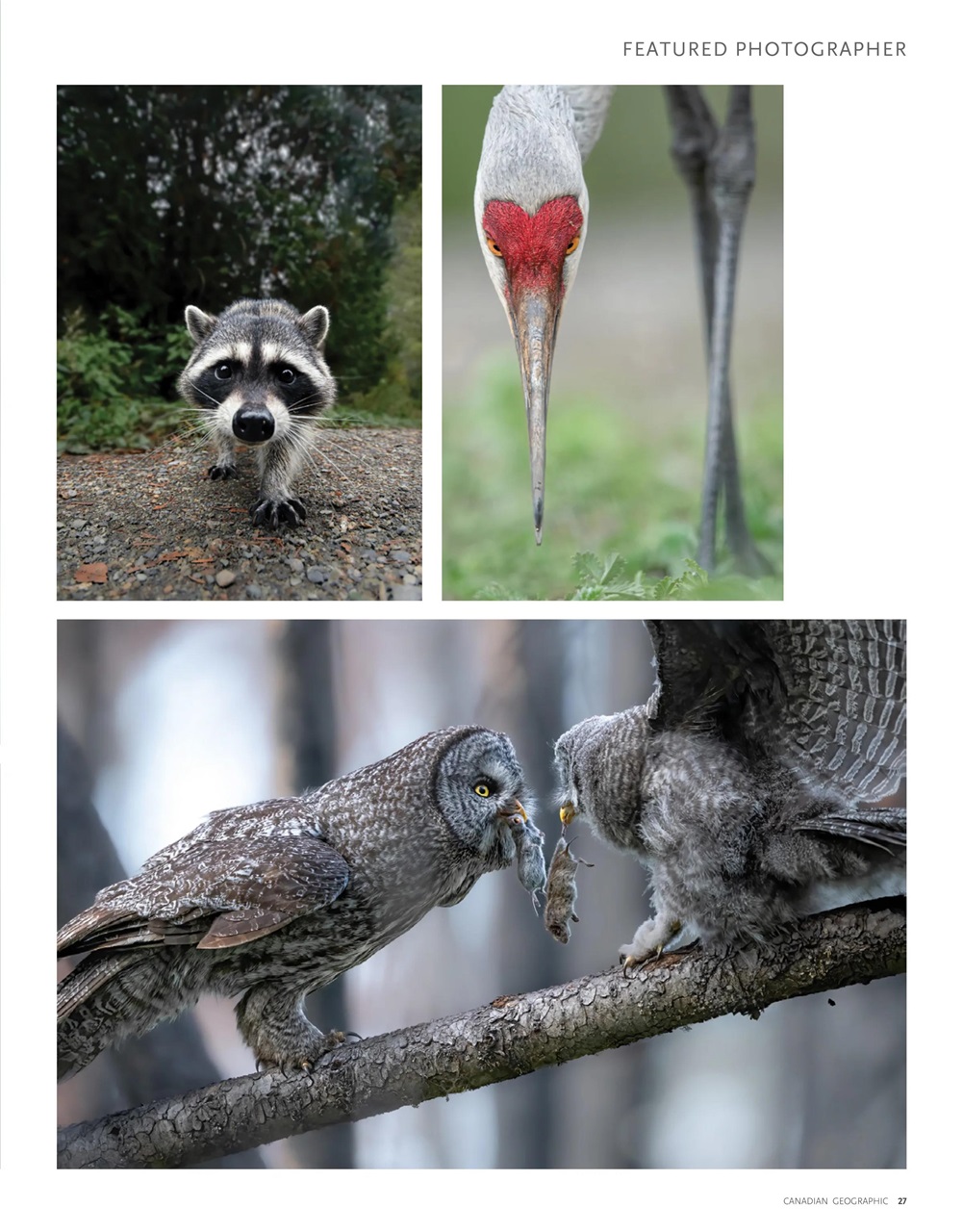 Canadian Geographic Preview Pages