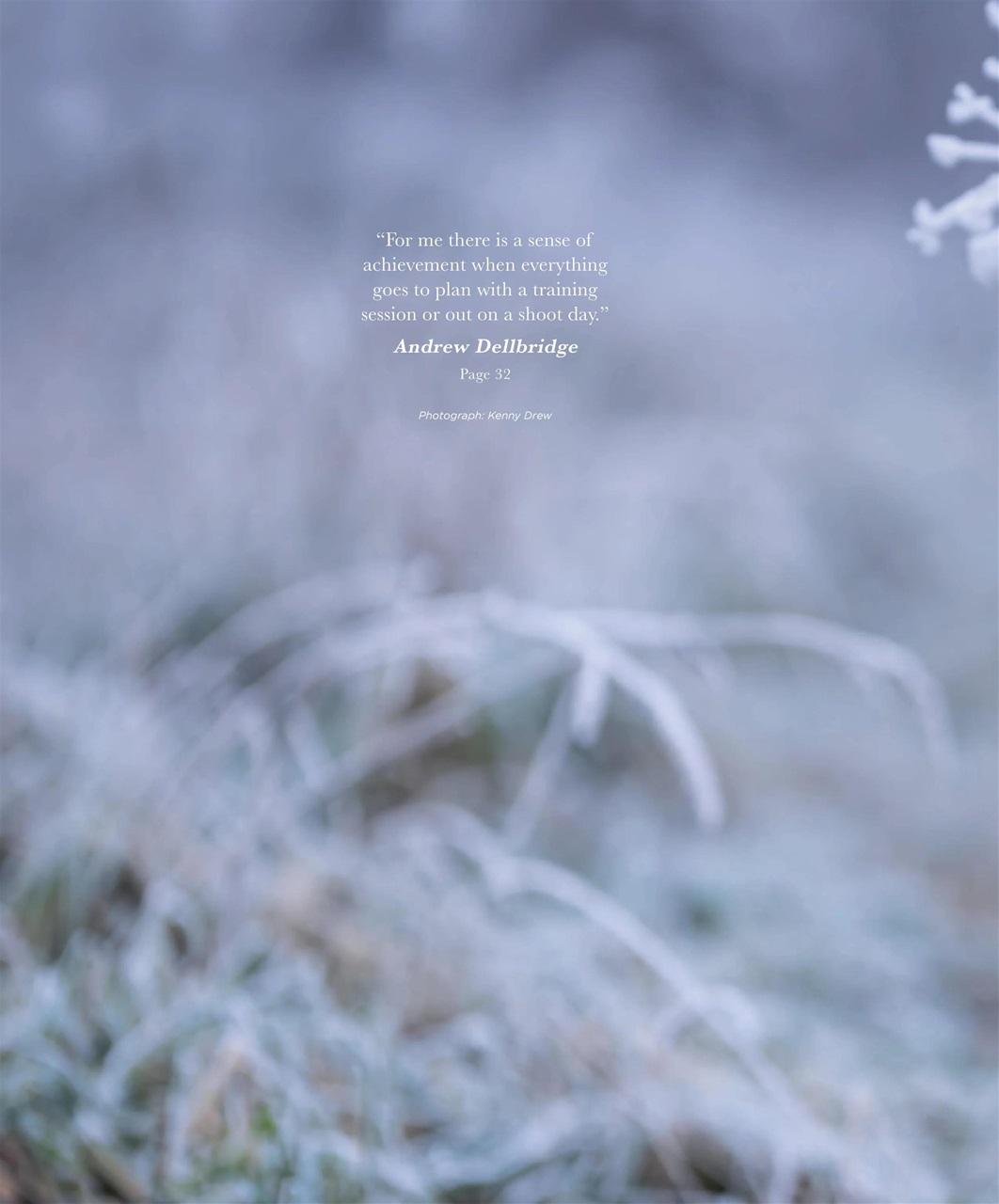 Gundog Journal Preview Pages