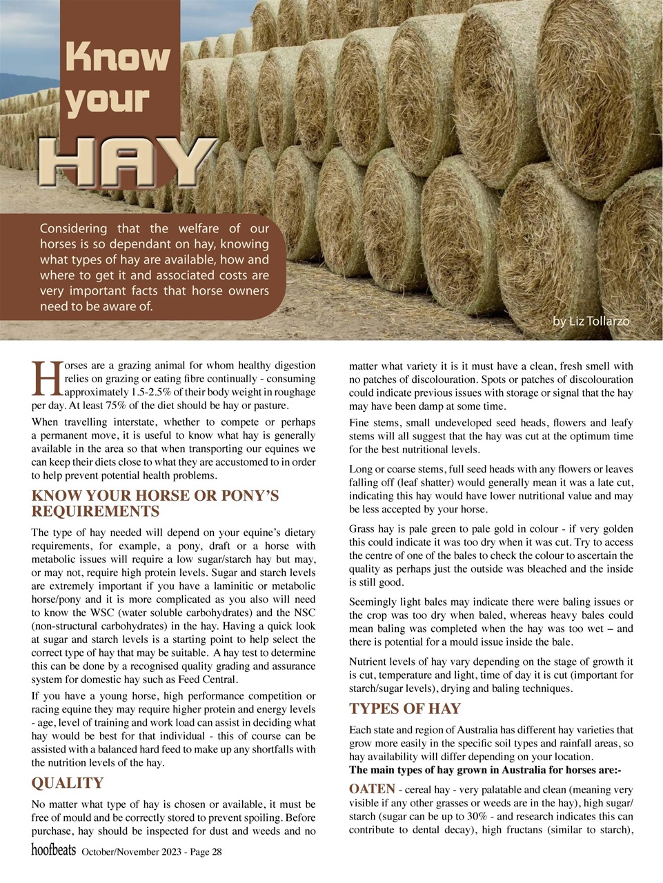 Hoofbeats Preview Pages