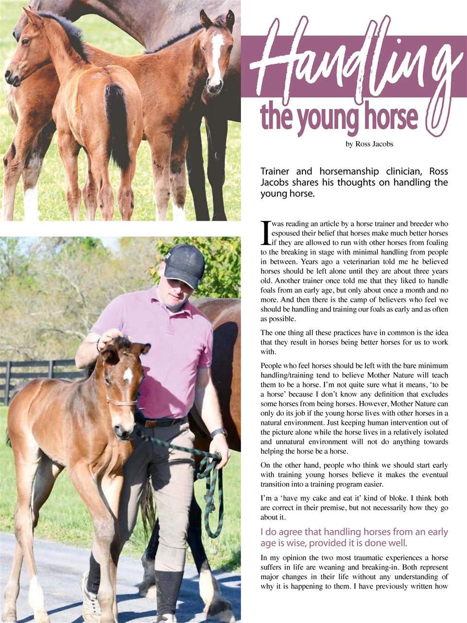 Hoofbeats Preview Pages