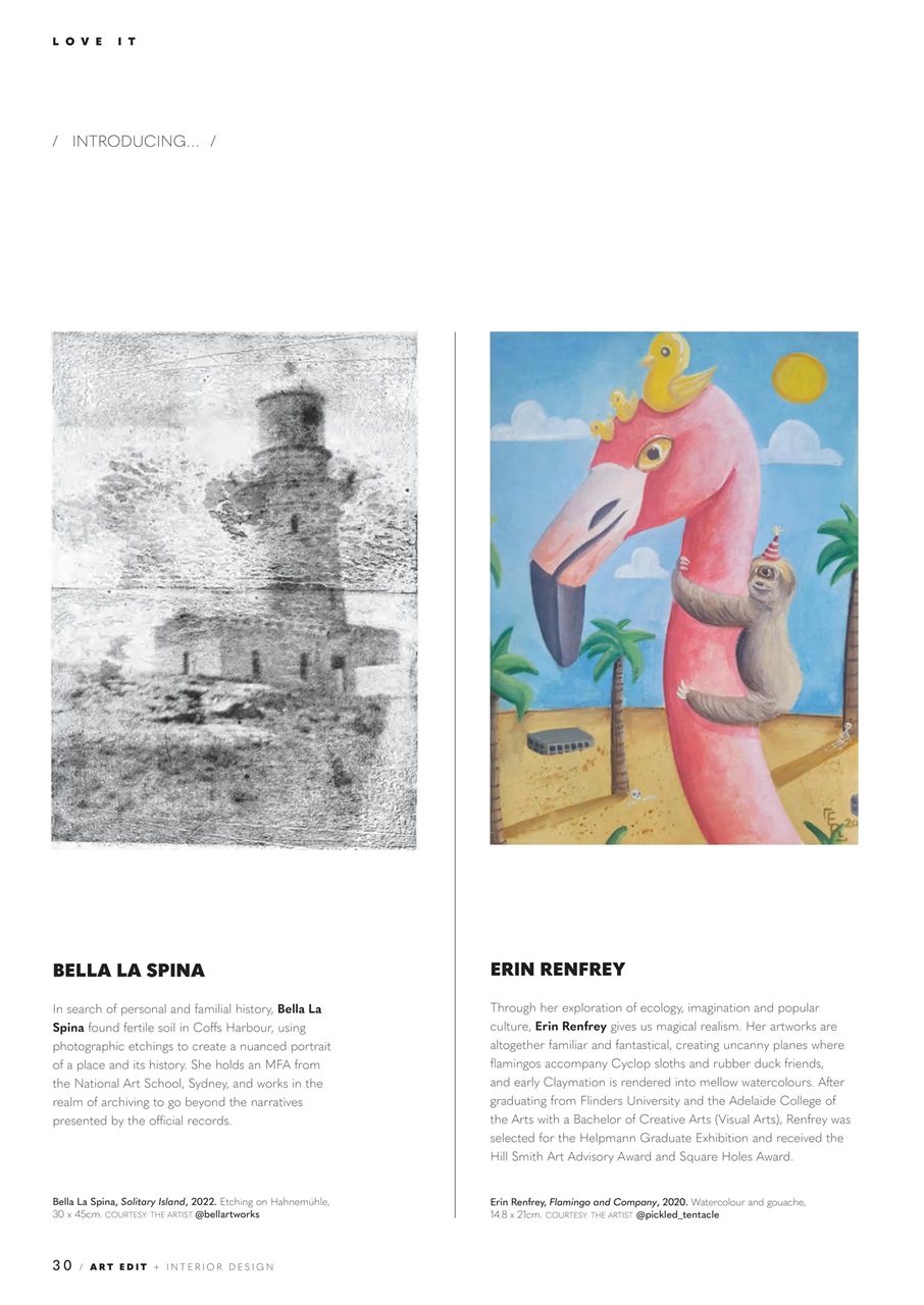 Art Edit Preview Pages