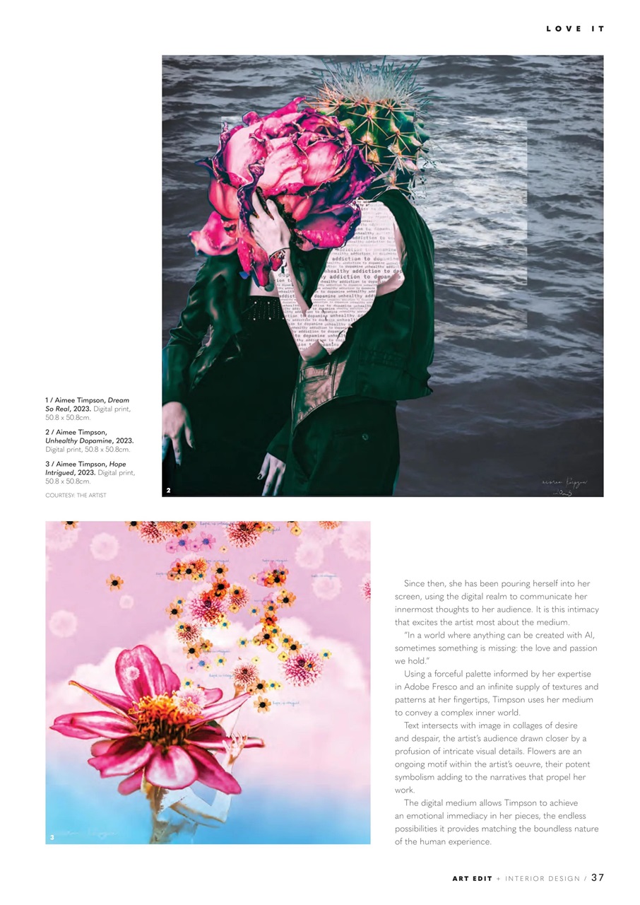 Art Edit Preview Pages