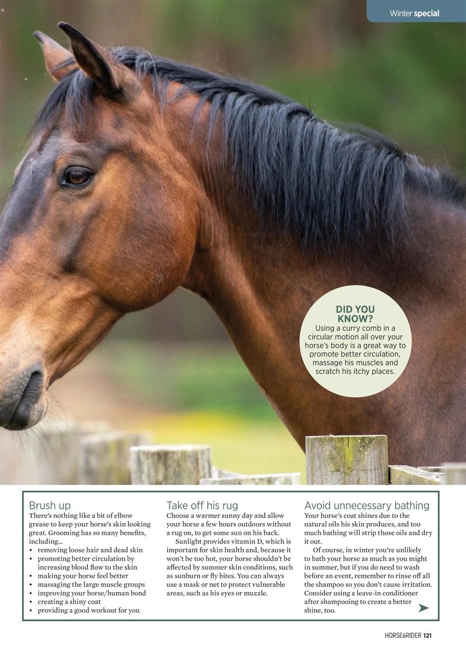Horse&Rider Magazine - UK equestrian magazine for Horse and Rider Preview Pages