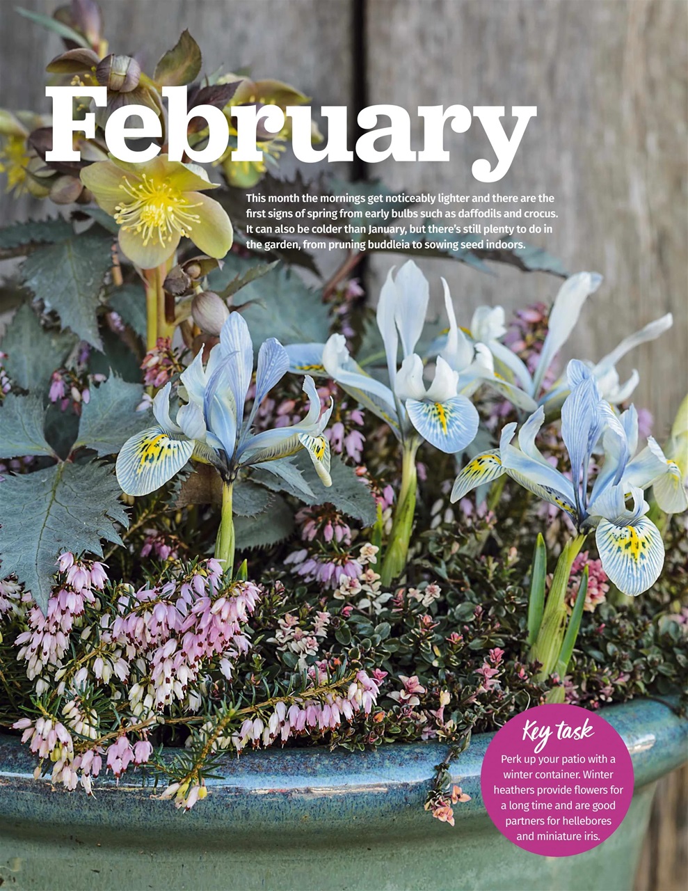 BBC Gardeners’ World Magazine Preview Pages