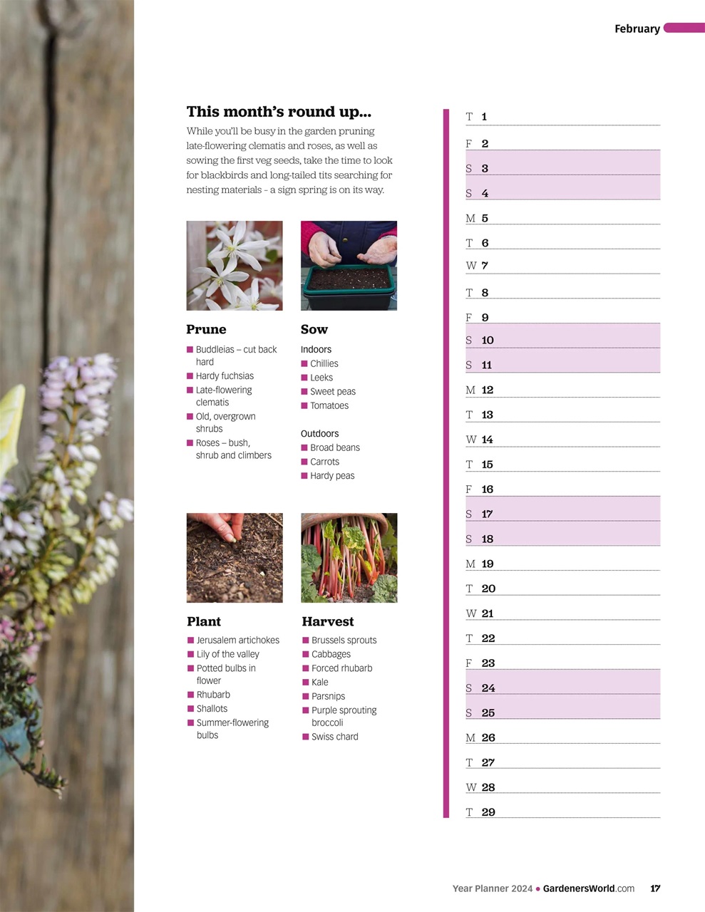BBC Gardeners’ World Magazine Preview Pages