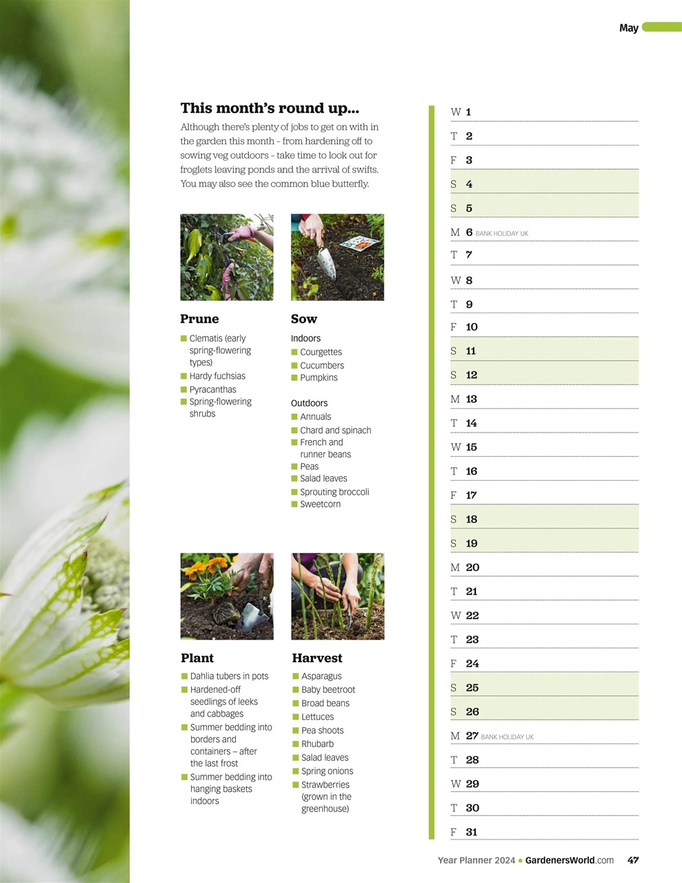 BBC Gardeners’ World Magazine Preview Pages