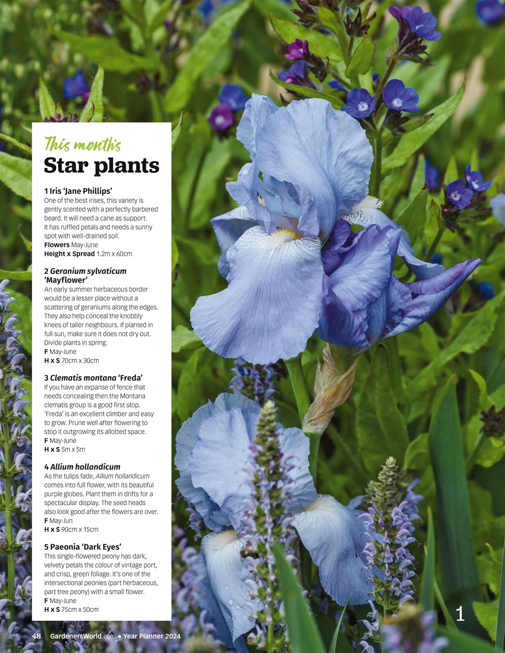 BBC Gardeners’ World Magazine Preview Pages