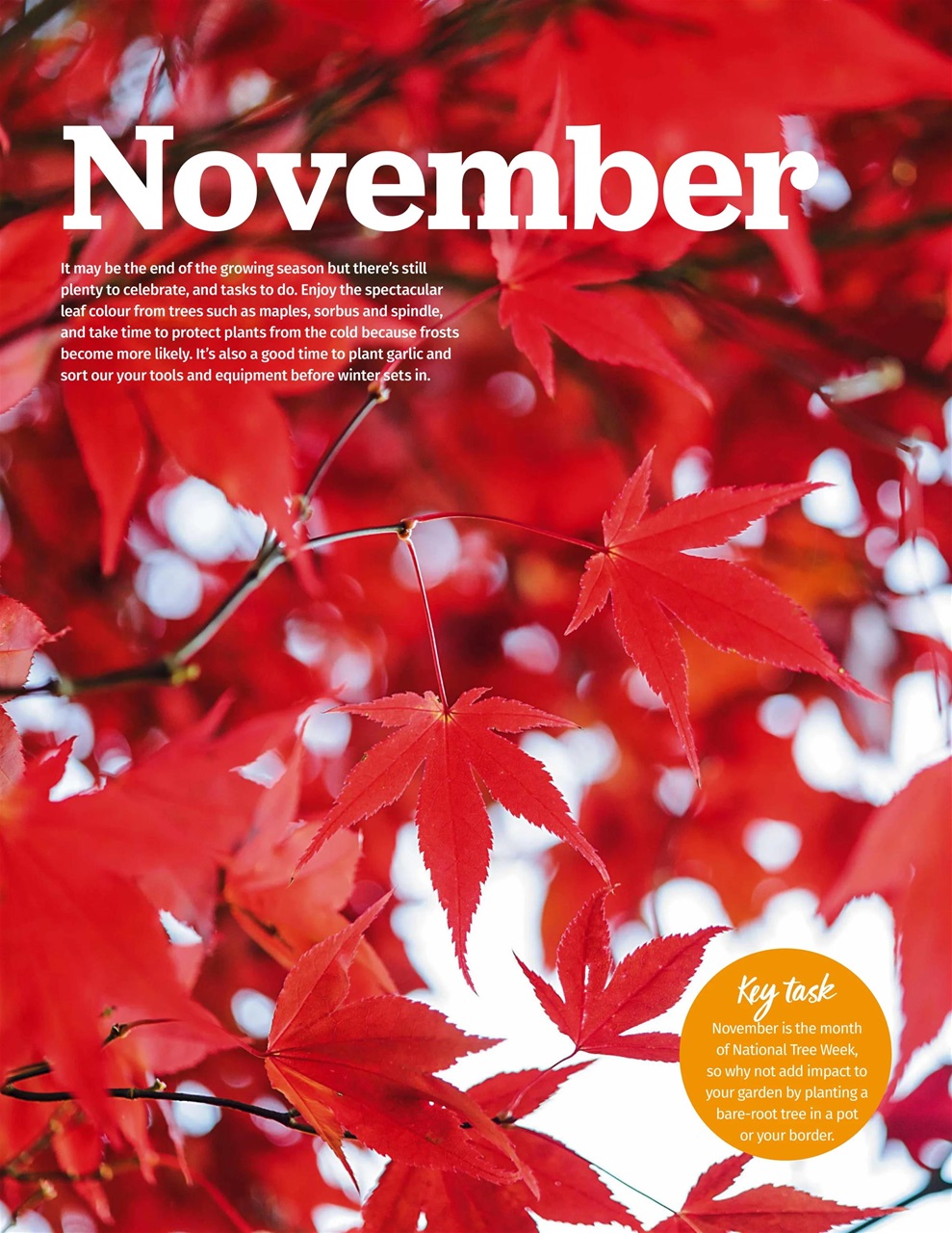 BBC Gardeners’ World Magazine Preview Pages