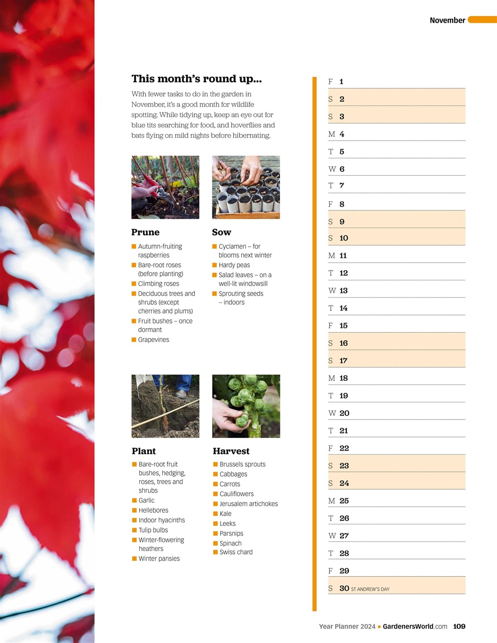 BBC Gardeners’ World Magazine Preview Pages