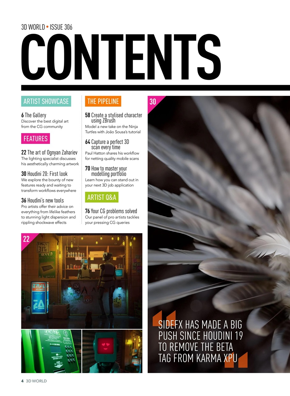 3D World Preview Pages