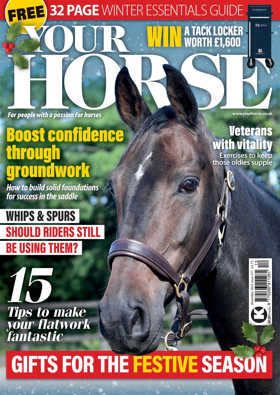 Your Horse Preview Pages