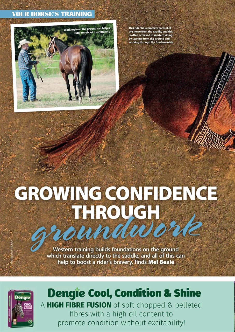 Your Horse Preview Pages