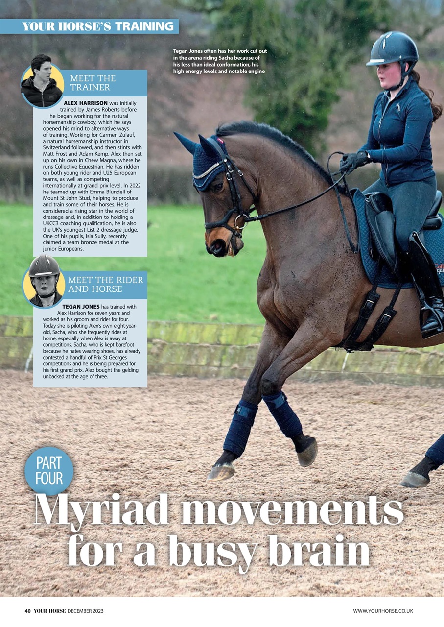 Your Horse Preview Pages