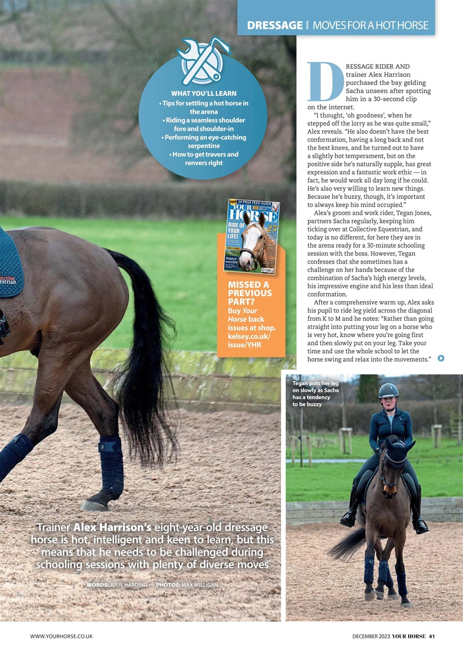 Your Horse Preview Pages