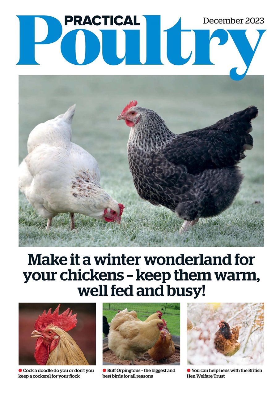 The Country Smallholder Preview Pages