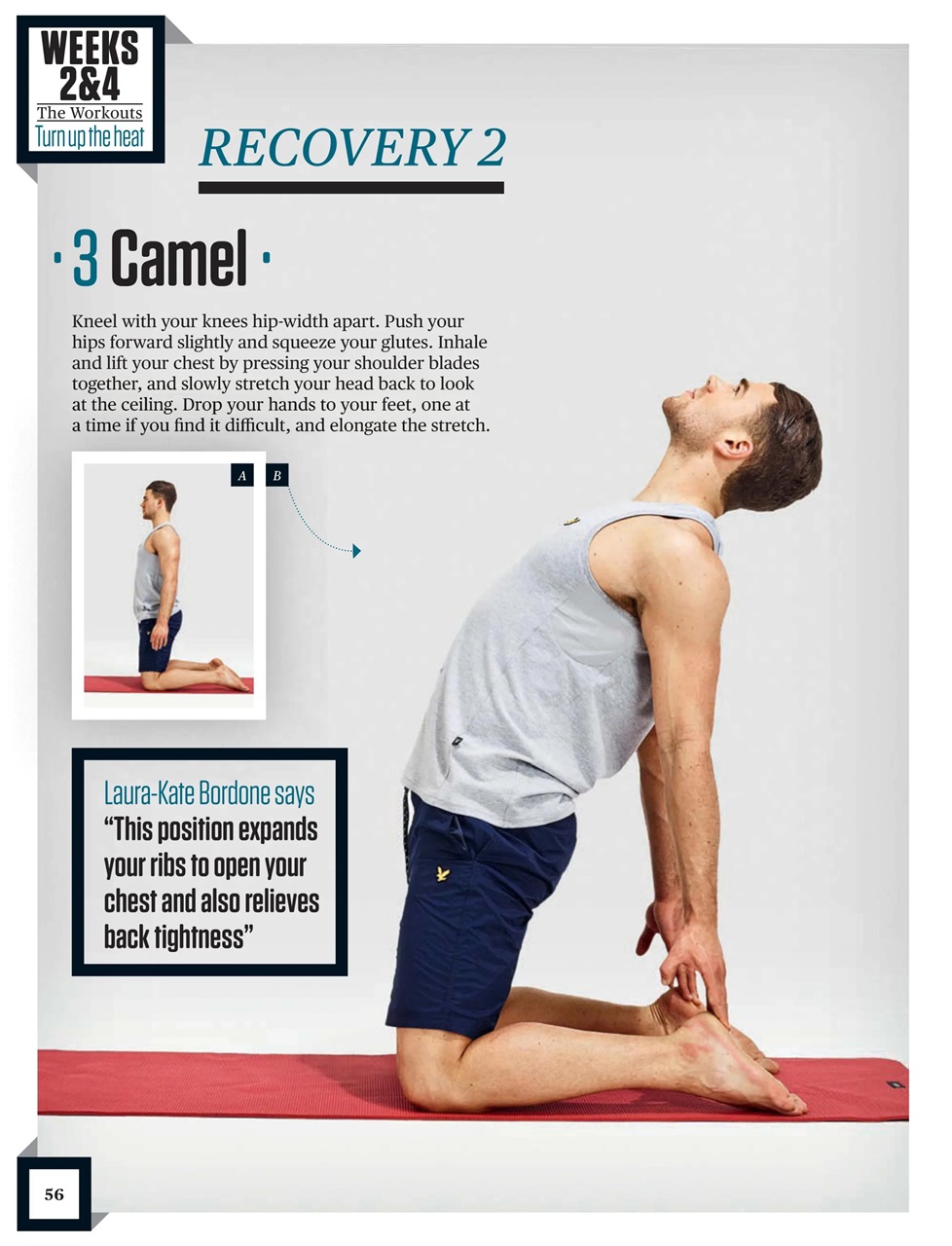 Men’s Fitness Guides Preview Pages