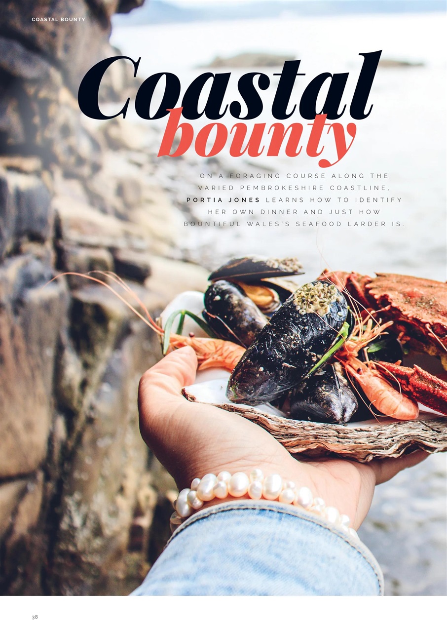 JRNY Travel Magazine Preview Pages