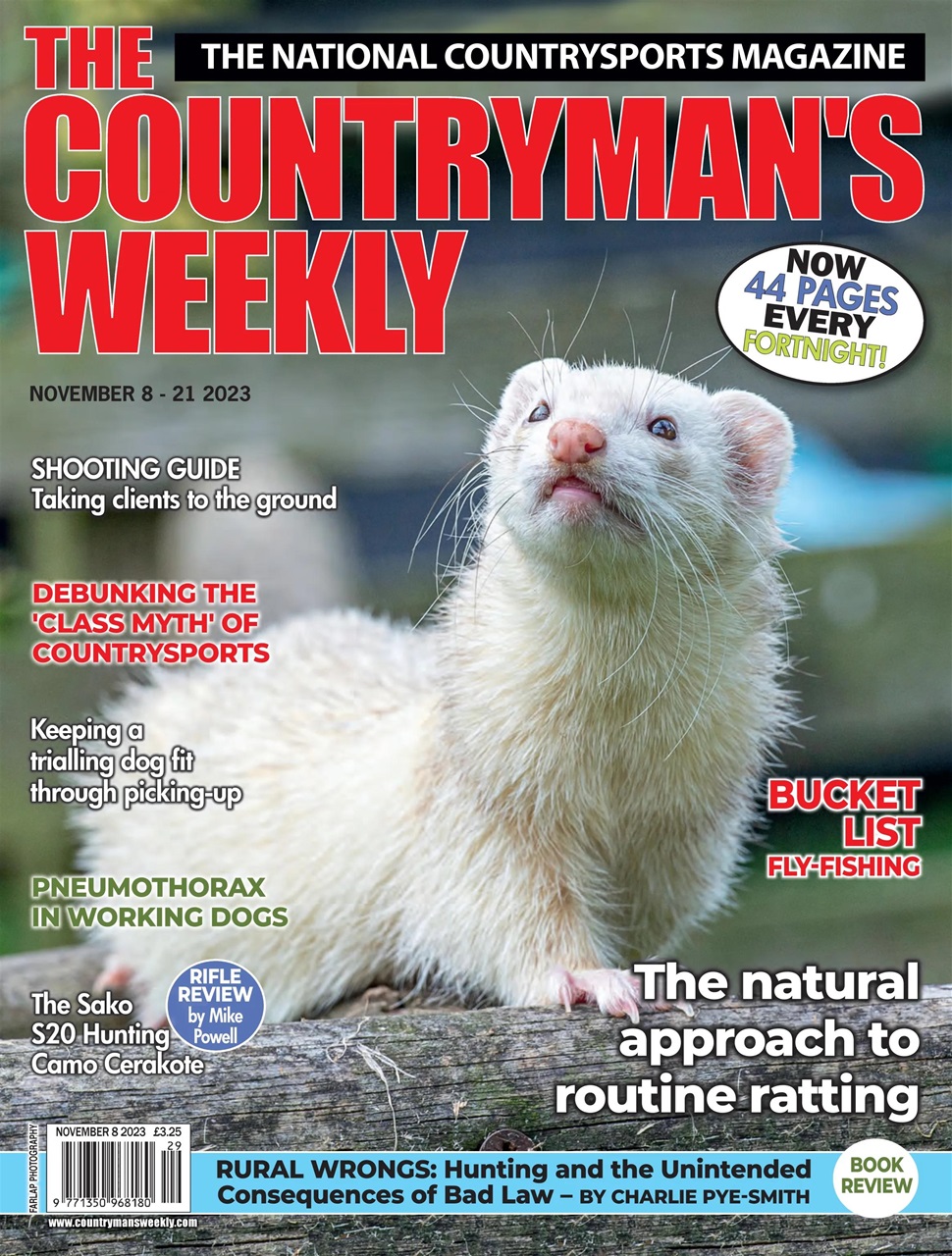 Countryman's Weekly Preview Pages