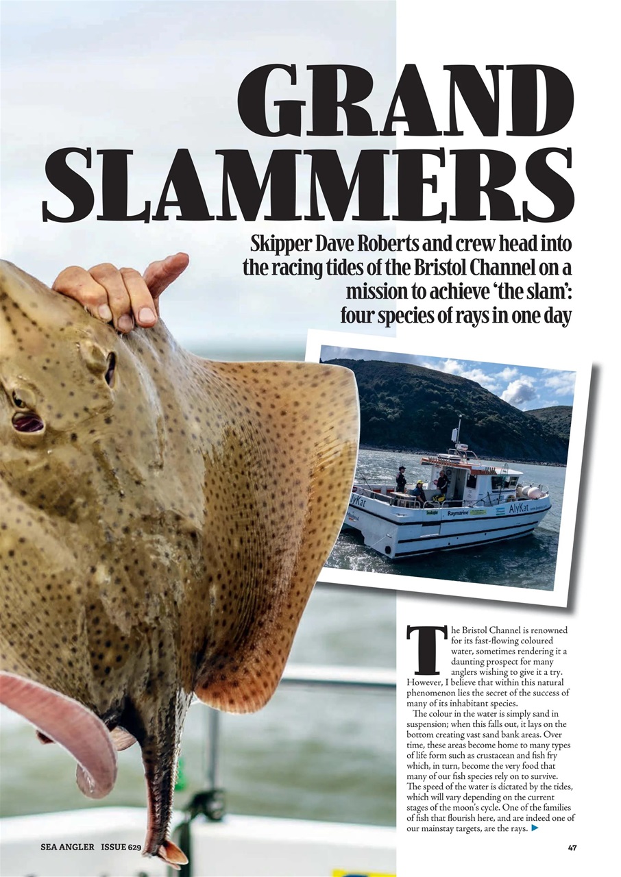 Sea Angler Preview Pages