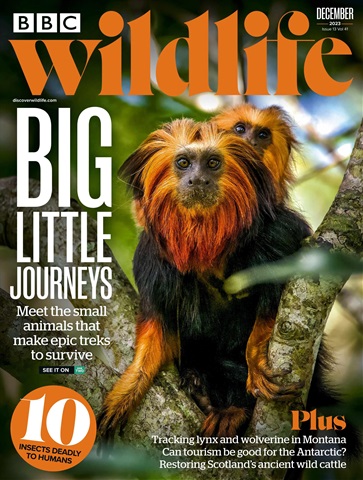 BBC Wildlife Magazine issue December 2023