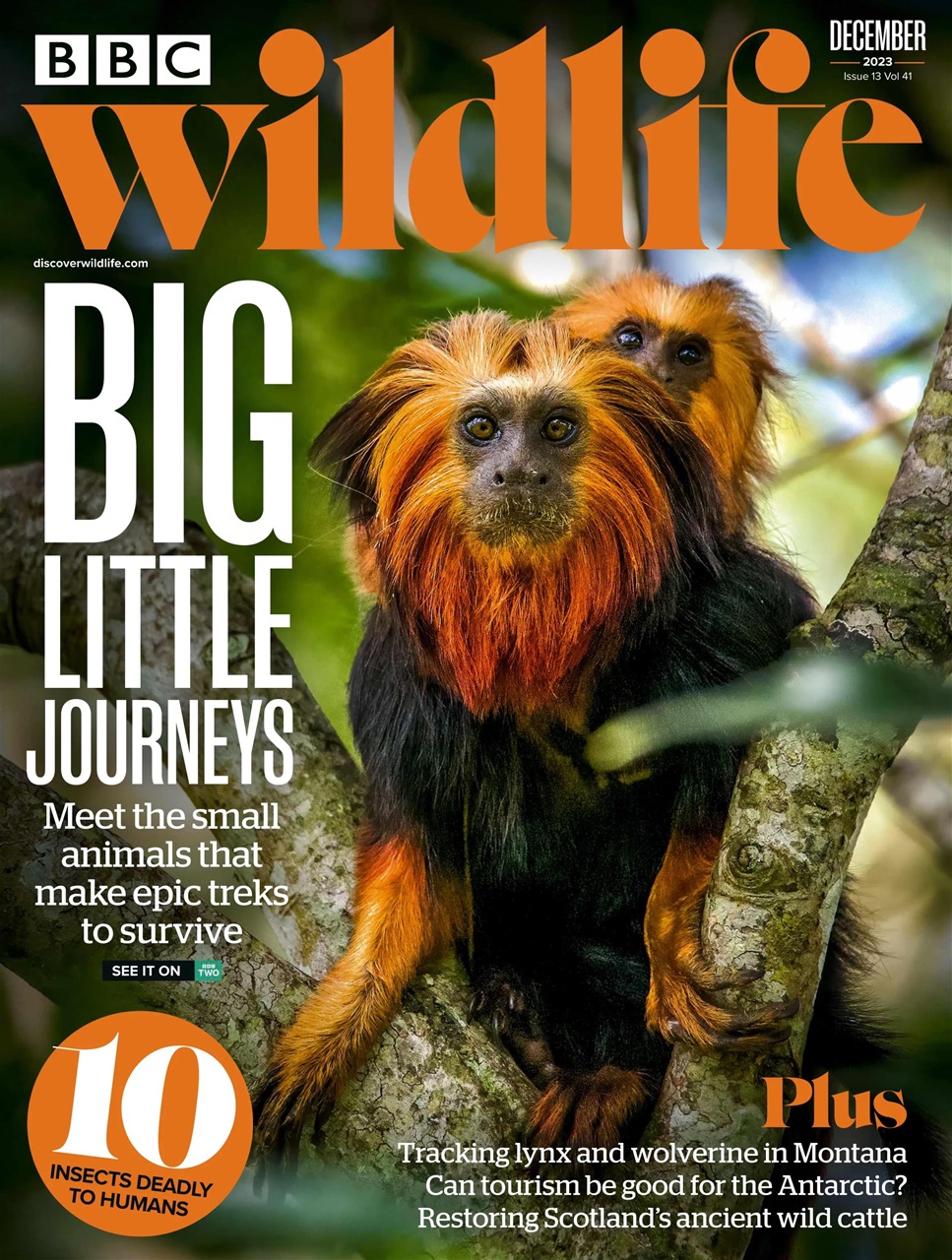 BBC Wildlife Magazine Preview Pages