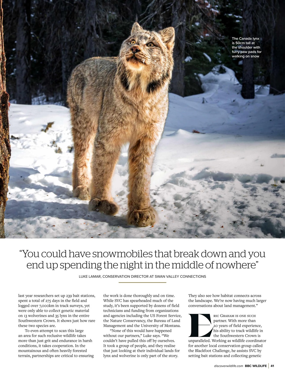BBC Wildlife Magazine Preview Pages
