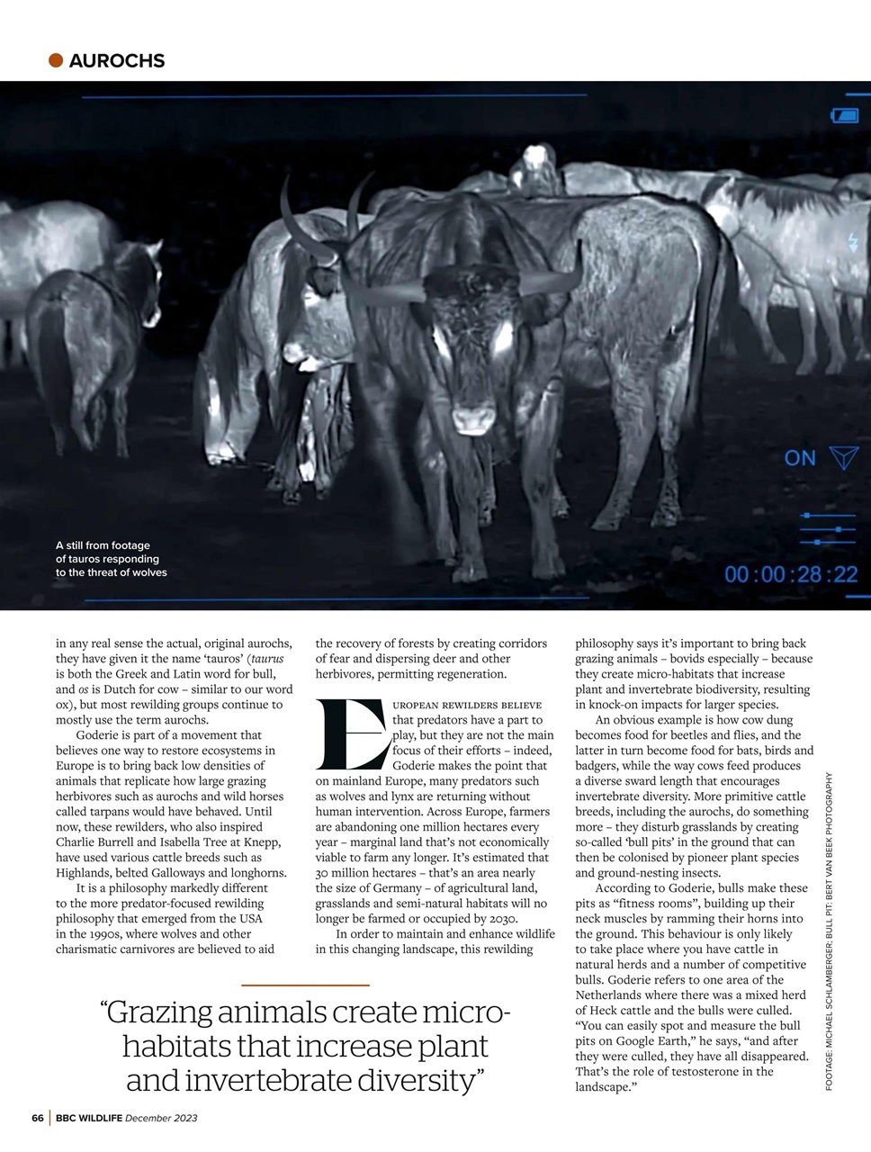 BBC Wildlife Magazine Preview Pages