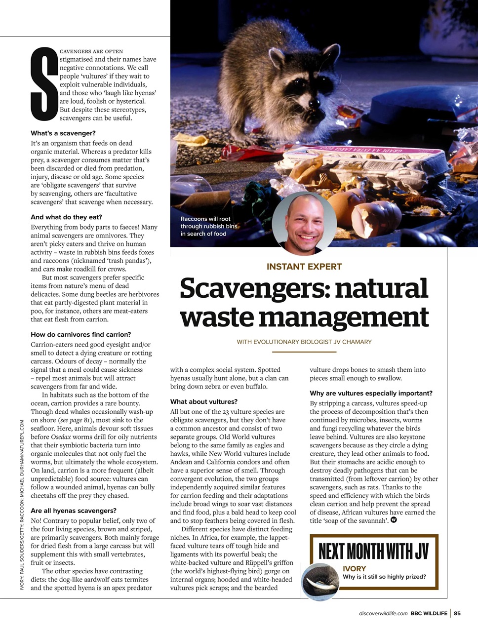 BBC Wildlife Magazine Preview Pages