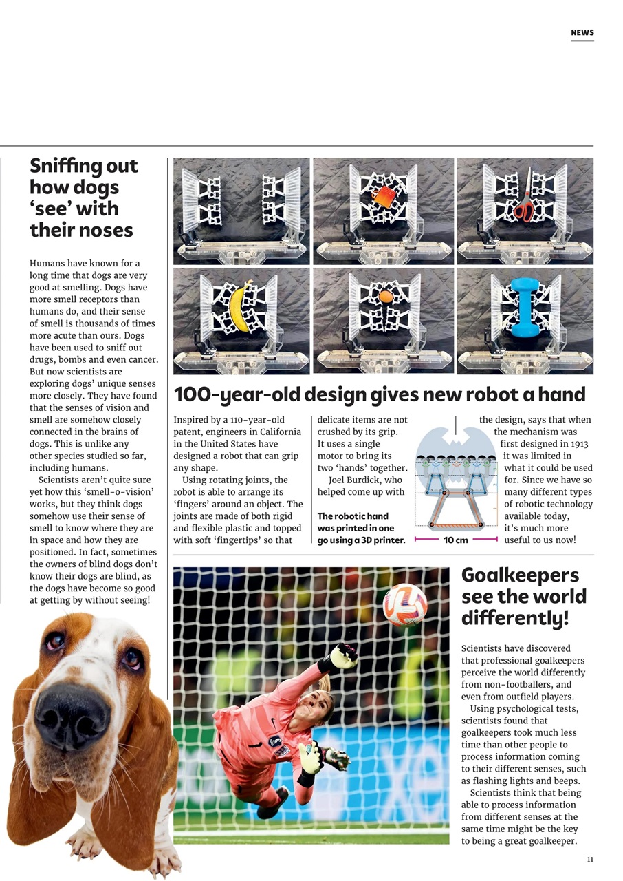 What on Earth! Magazine Preview Pages