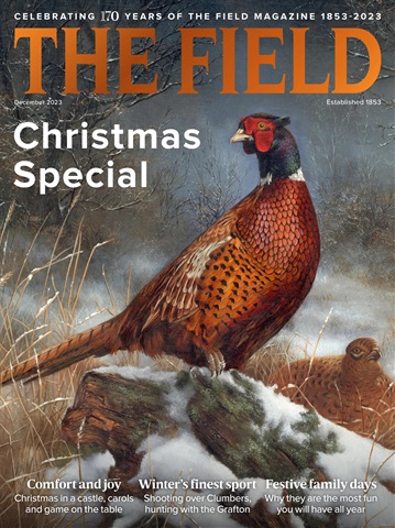 The Field issue December 2023