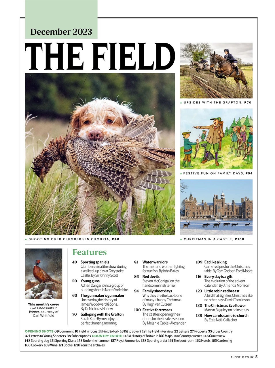 The Field Preview Pages