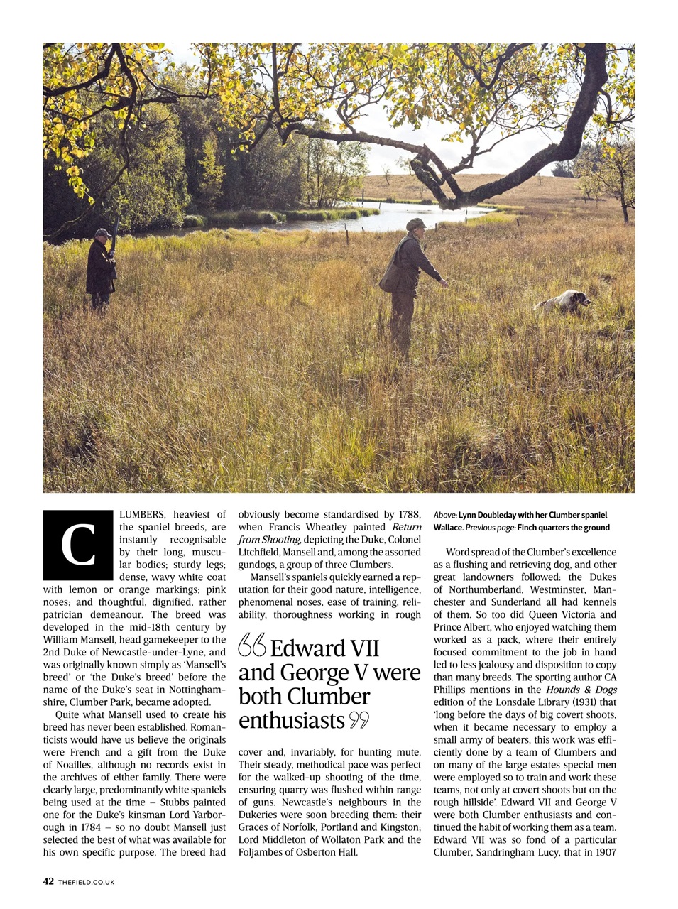 The Field Preview Pages