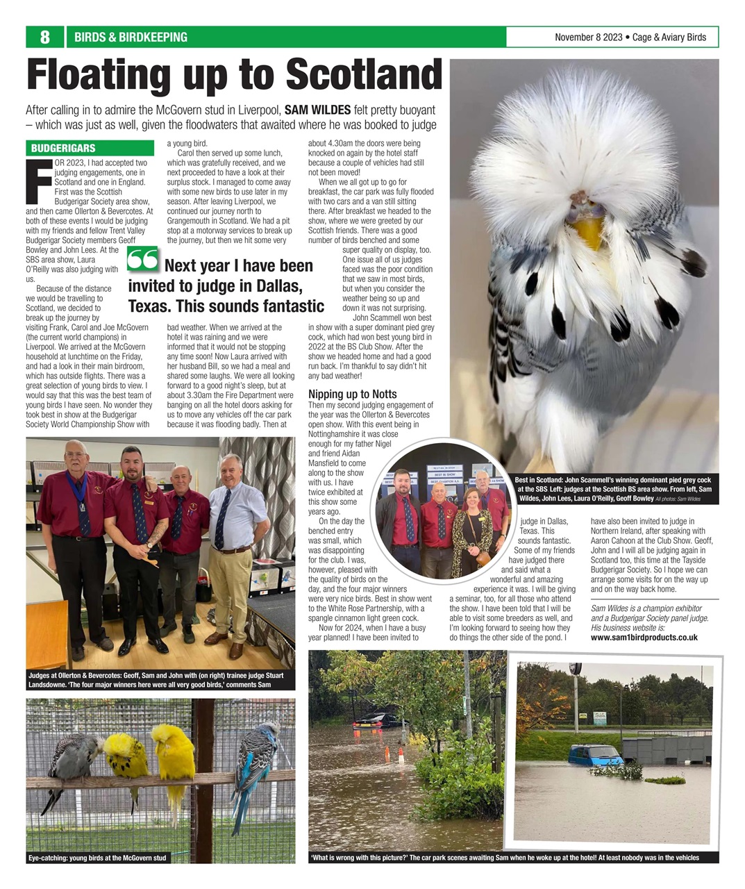 Cage & Aviary Birds Preview Pages