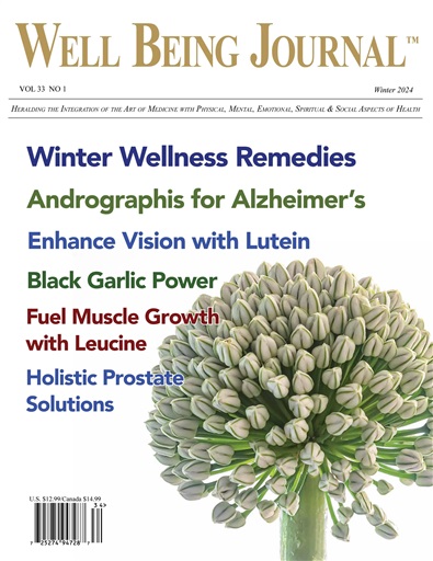 Well Being Journal issue 