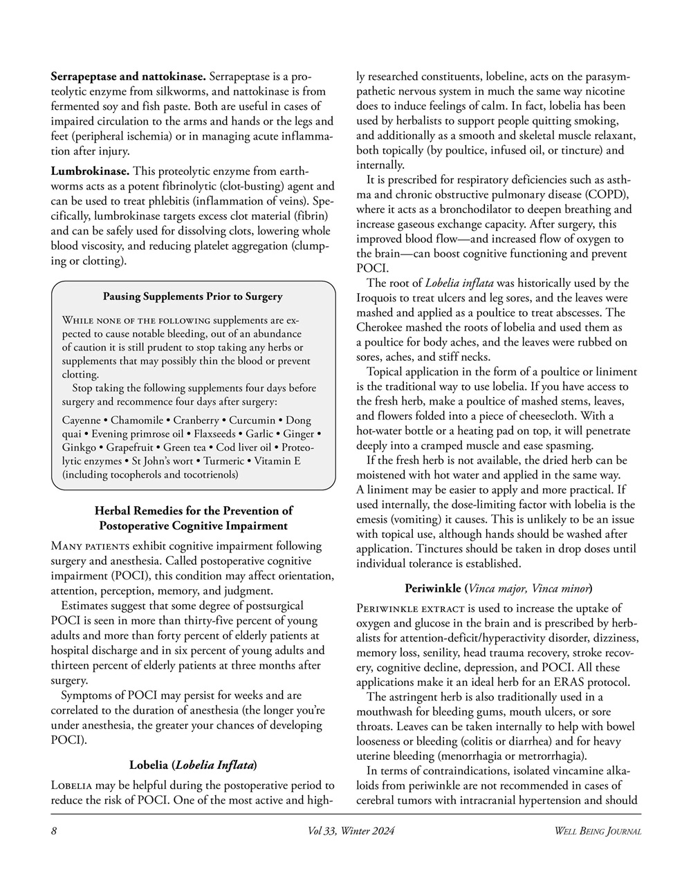 Well Being Journal Preview Pages