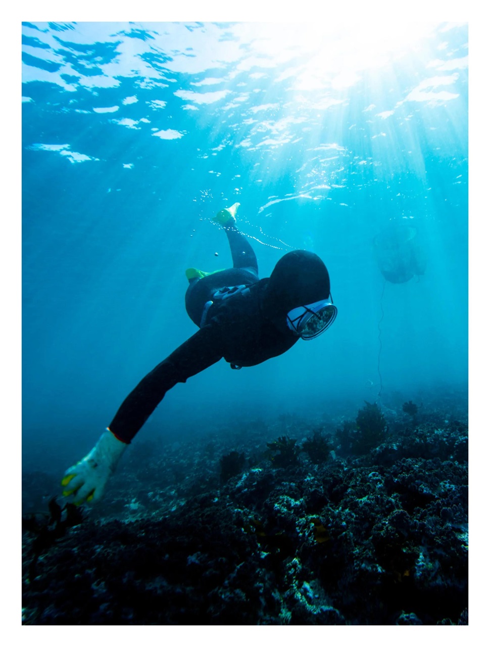 Vacations & Travel Preview Pages