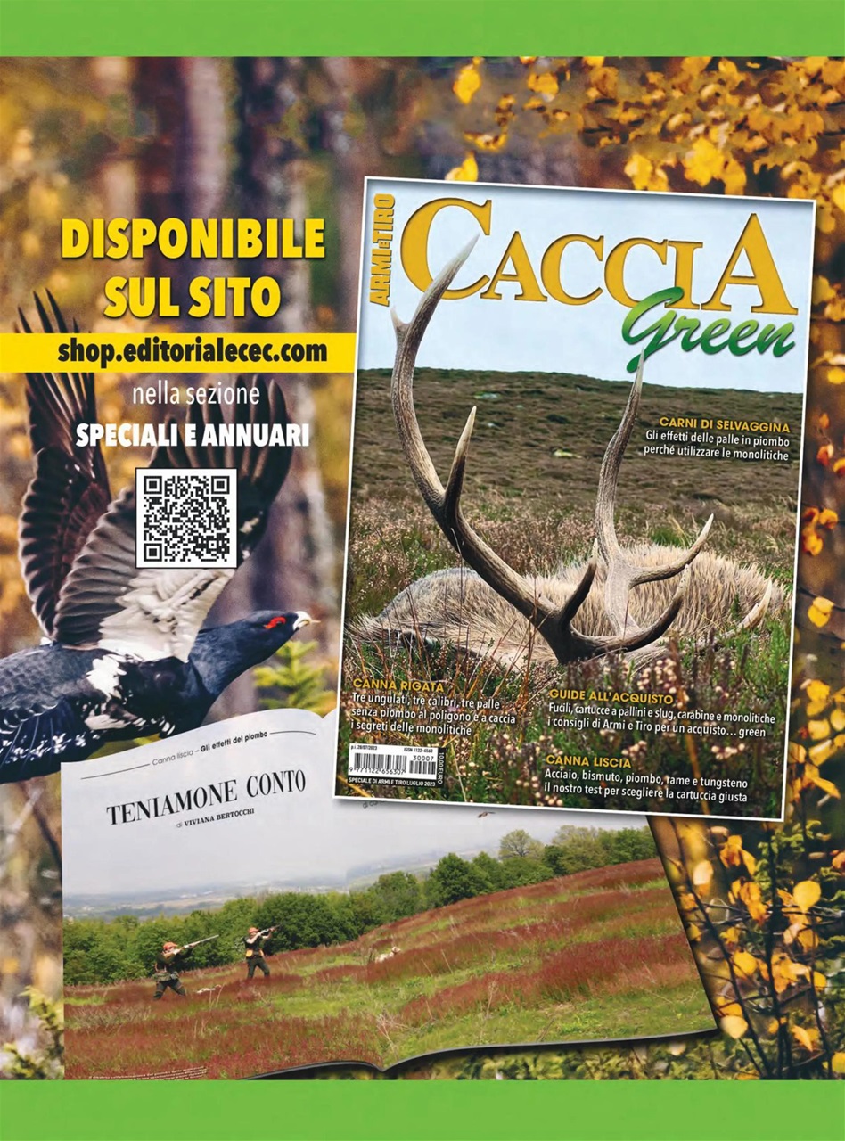 ARMI MAGAZINE Preview Pages