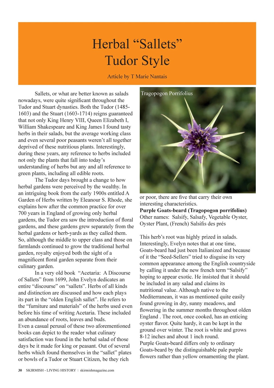 Skirmish Living History Preview Pages